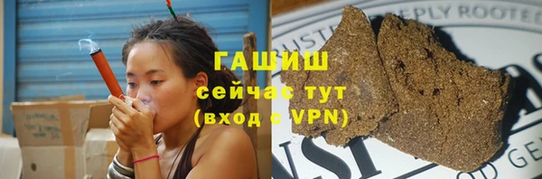 шишки Абаза