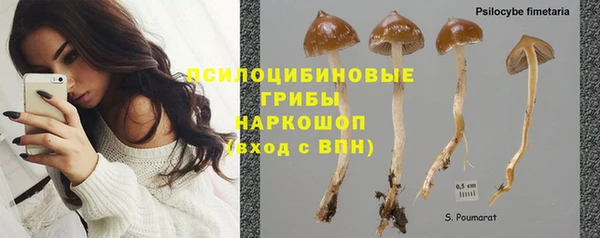 jwh Алзамай