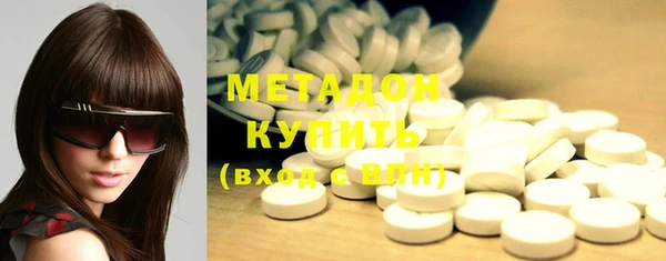 шишки Абаза