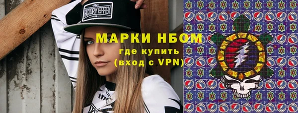 шишки Абаза