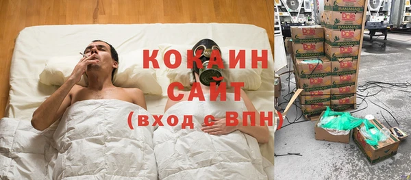 jwh Алзамай