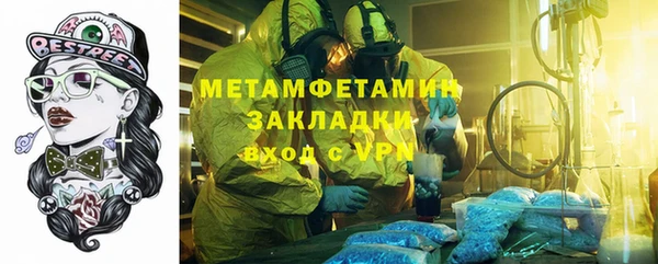 шишки Абаза