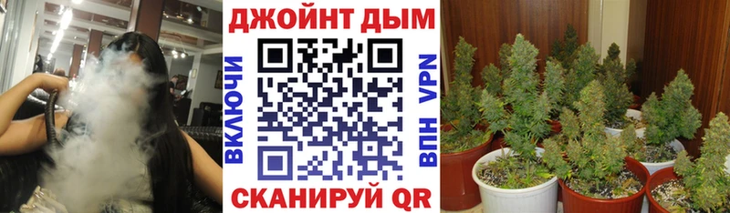 как найти наркотики shop Telegram Бошки марихуана White Widow Починок